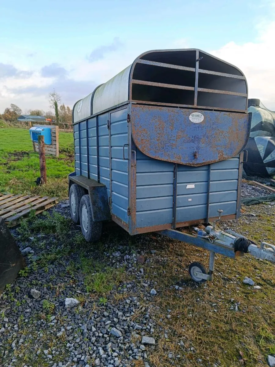 cattle trailer 8x4 - Image 1