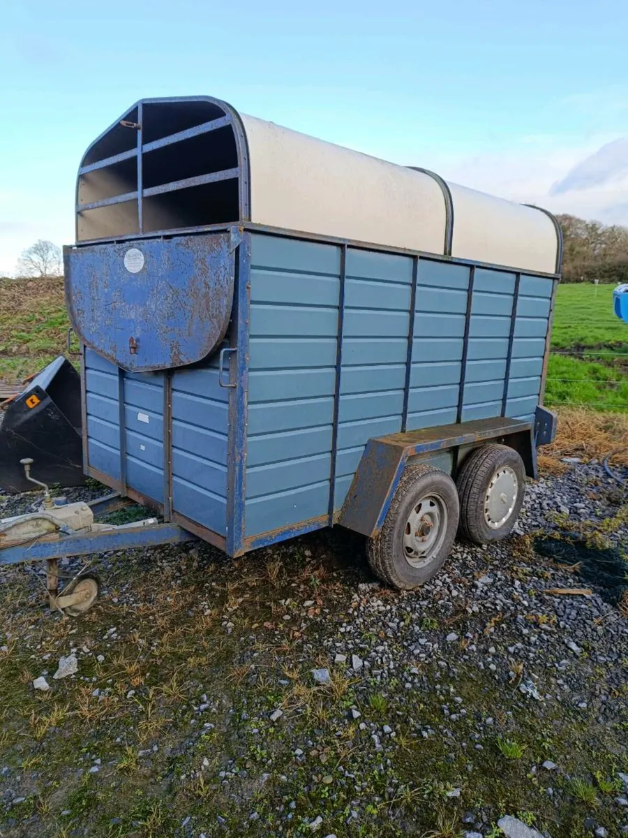 cattle trailer 8x4 - Image 2