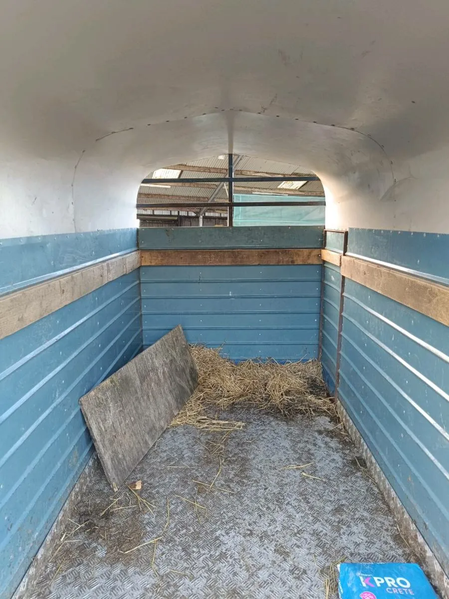 cattle trailer 8x4 - Image 4