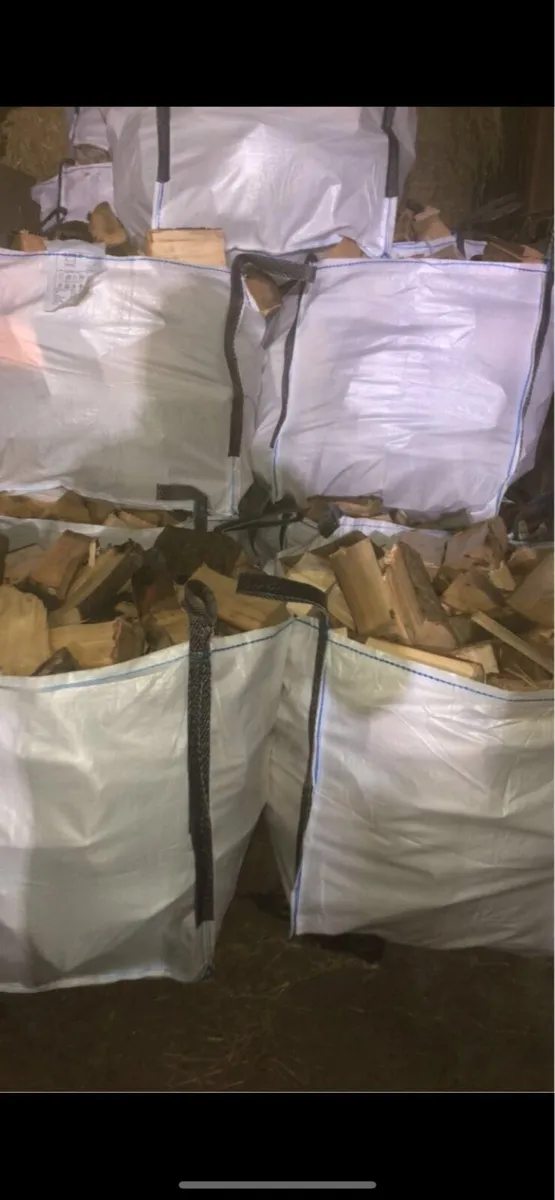 Ash firewood - Image 3