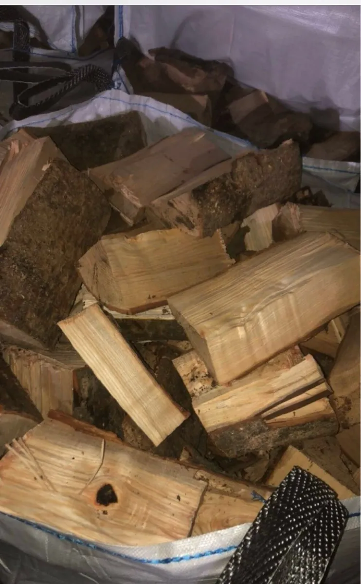 Ash firewood - Image 4