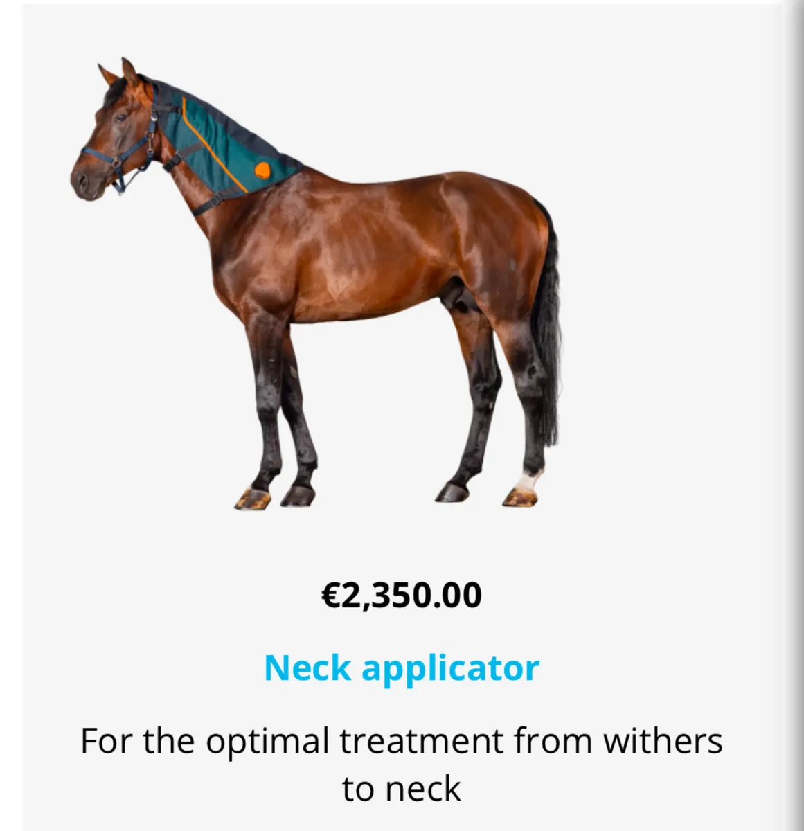 BEMER Horse Sets - Image 4