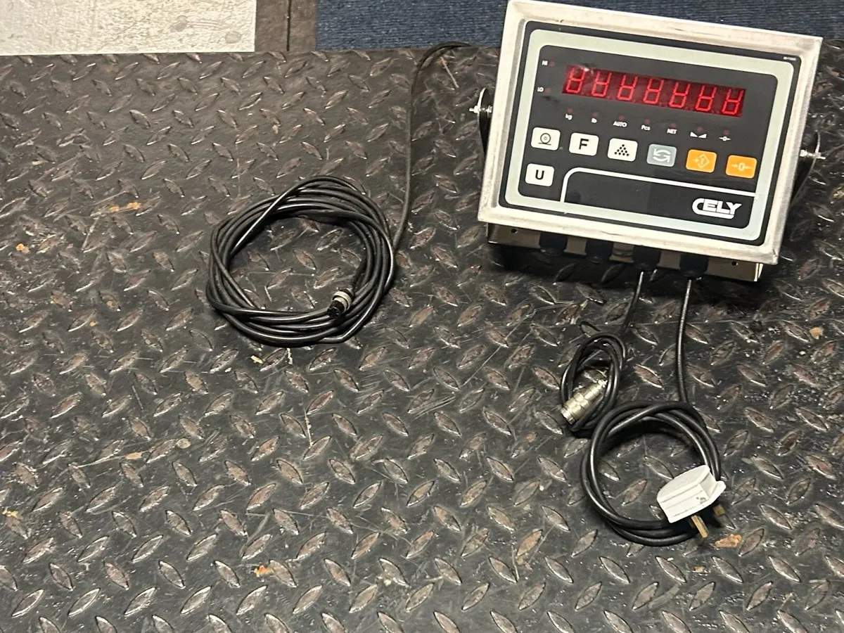 Pallet Weighing Scales (Used) - Image 2