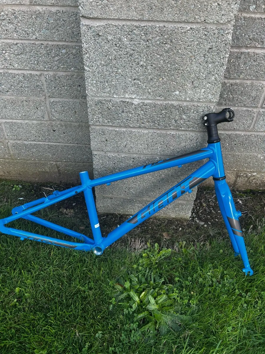 Giant Arx Kids bike frame - Image 1