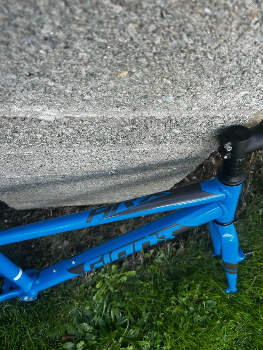 Giant Arx Kids bike frame - Image 2