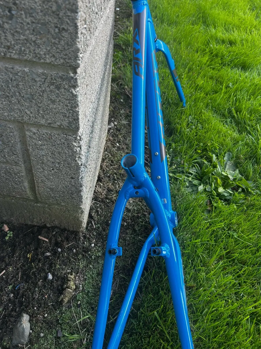Giant Arx Kids bike frame - Image 4