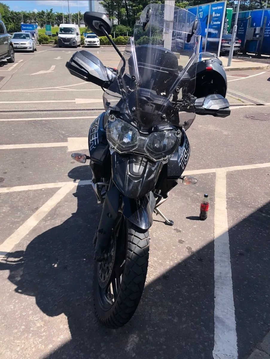 Triumph - Image 1