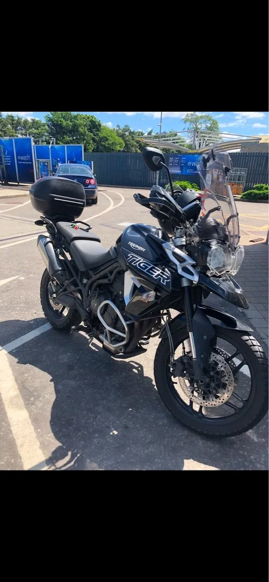 Triumph - Image 2