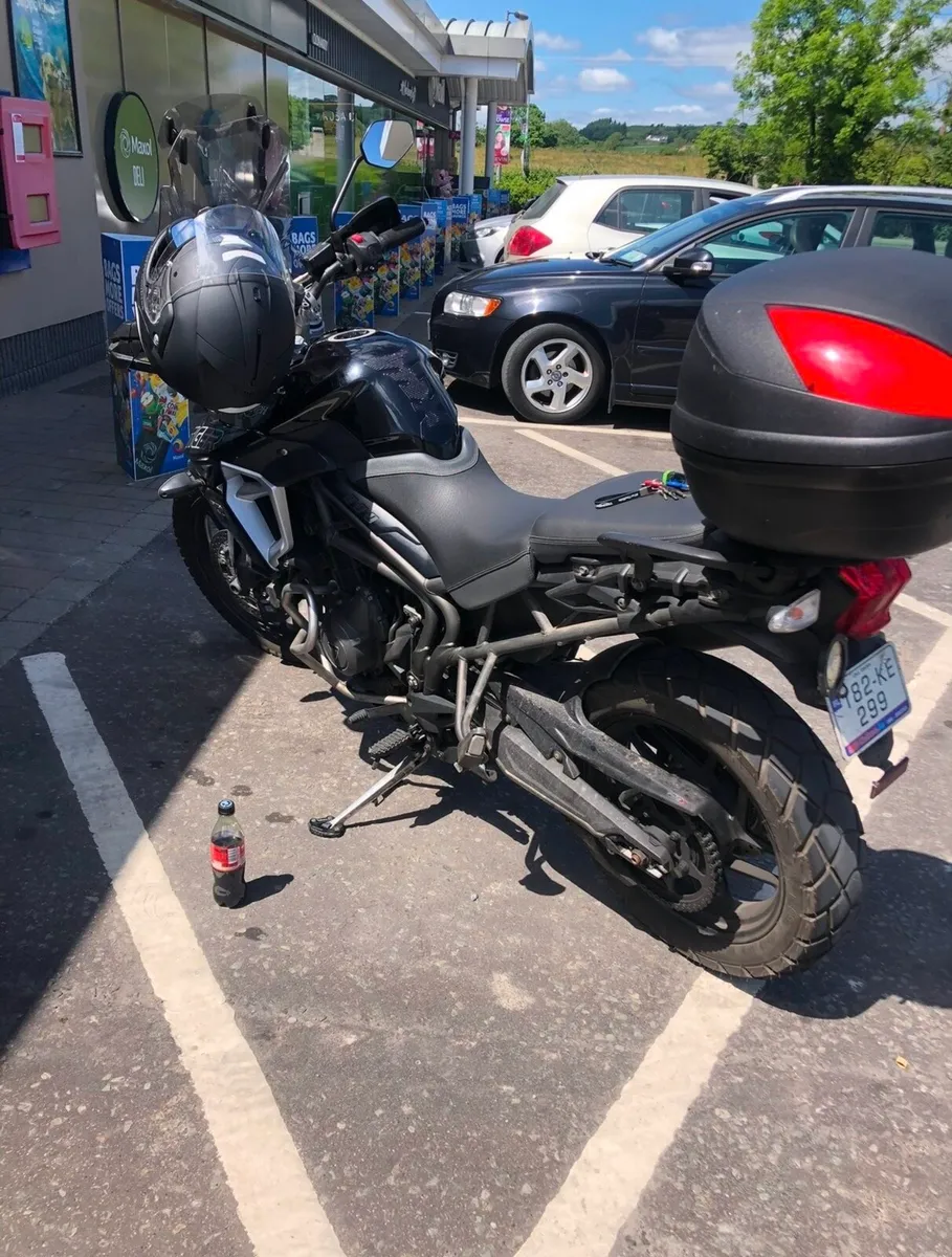 Triumph - Image 3
