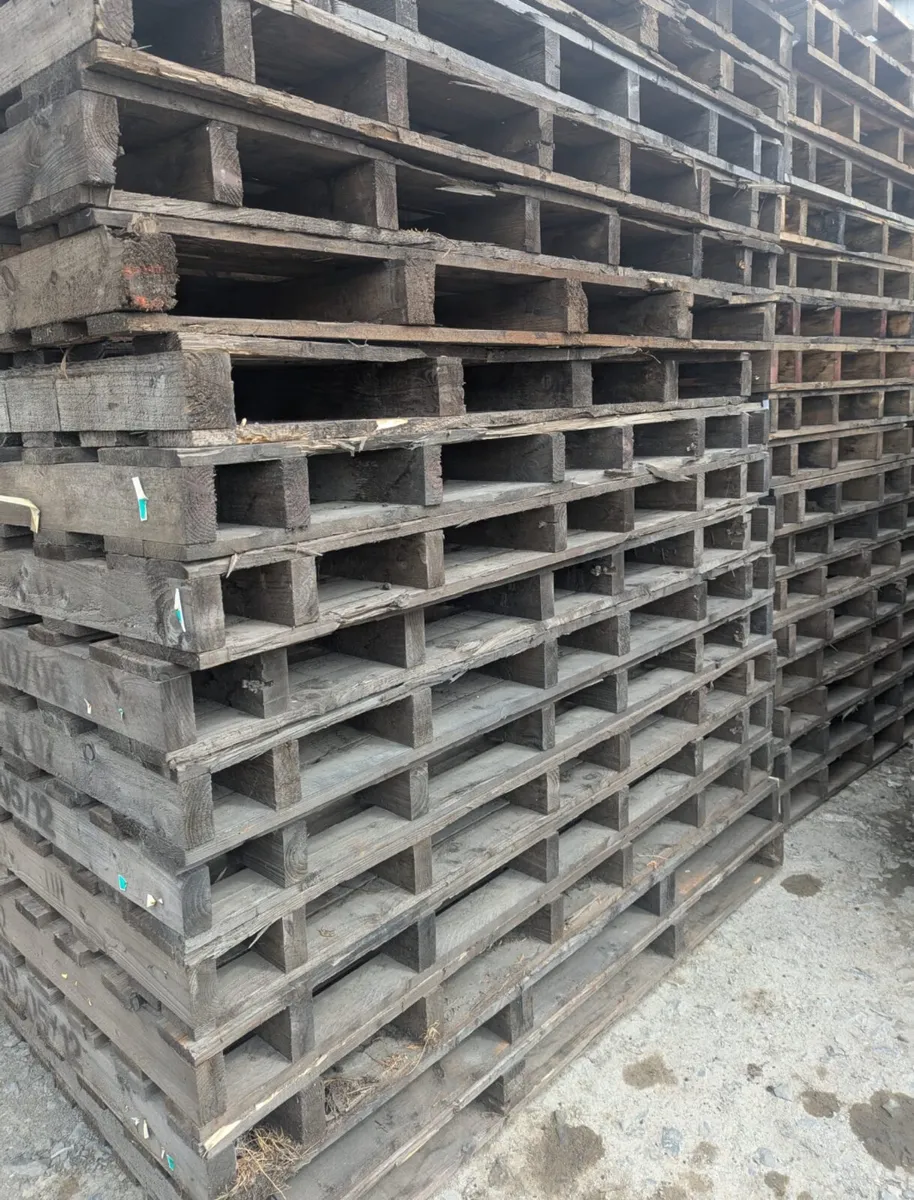 Large Pallets used for Whiskey Barrels - Image 1