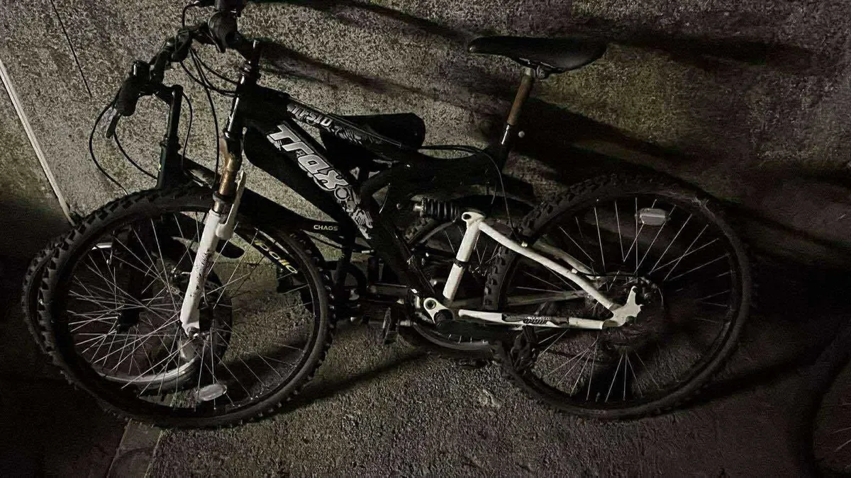 Mountain bike