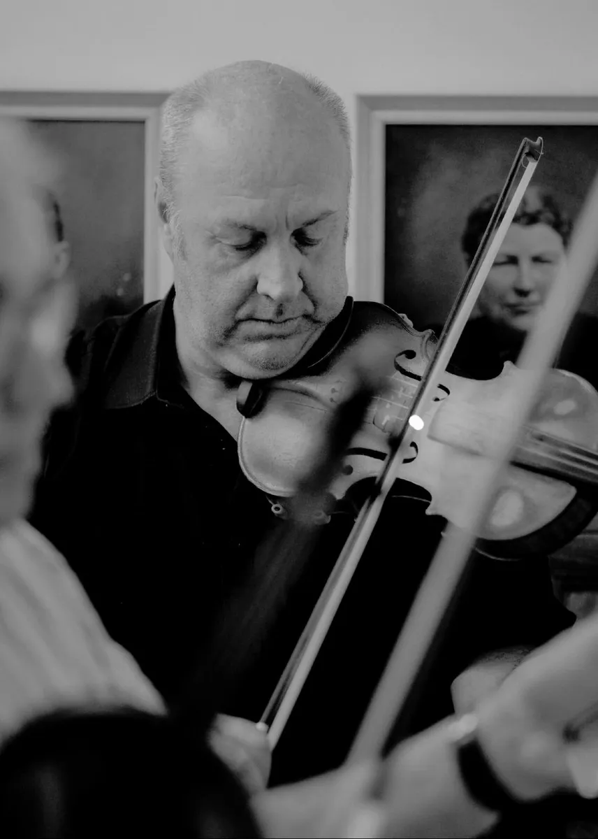 Violins - Image 2
