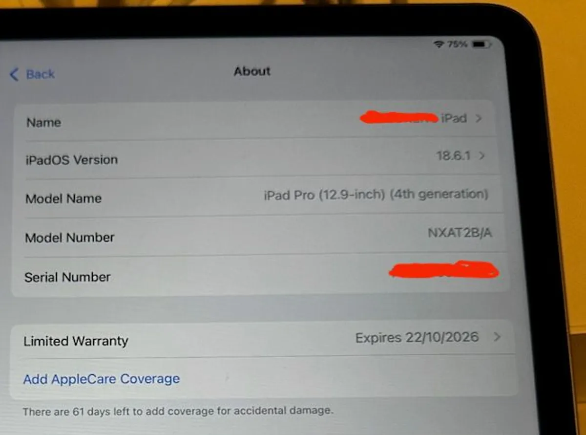 iPad Pro 12.9 (4th Gen) 256 GB Silver - Brand New Replacement (Unused) - Box and Accessories - 1-Year Apple Warranty - Image 2