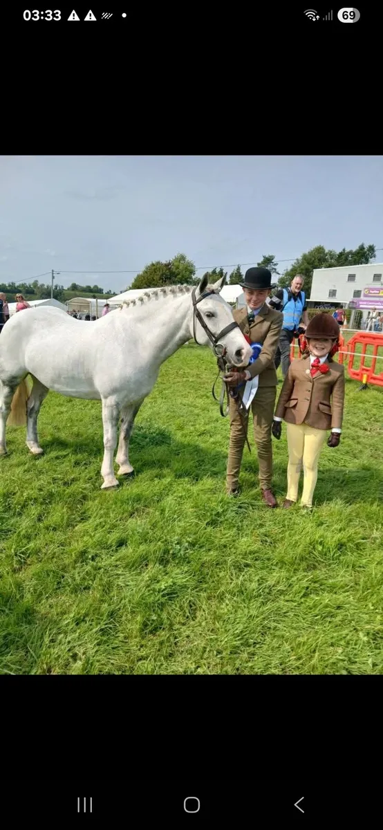 Pony /cob - Image 3