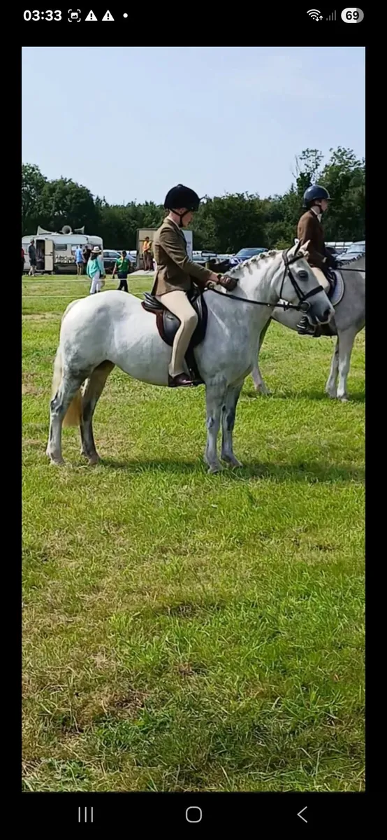 Pony /cob - Image 4