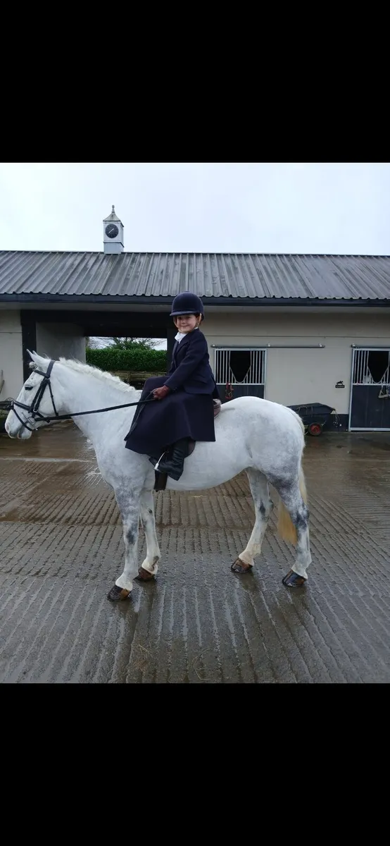 Pony /cob - Image 2