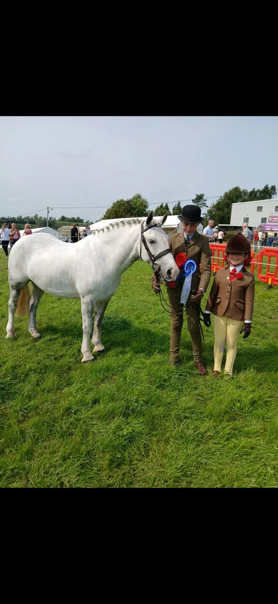 Pony /cob - Image 1