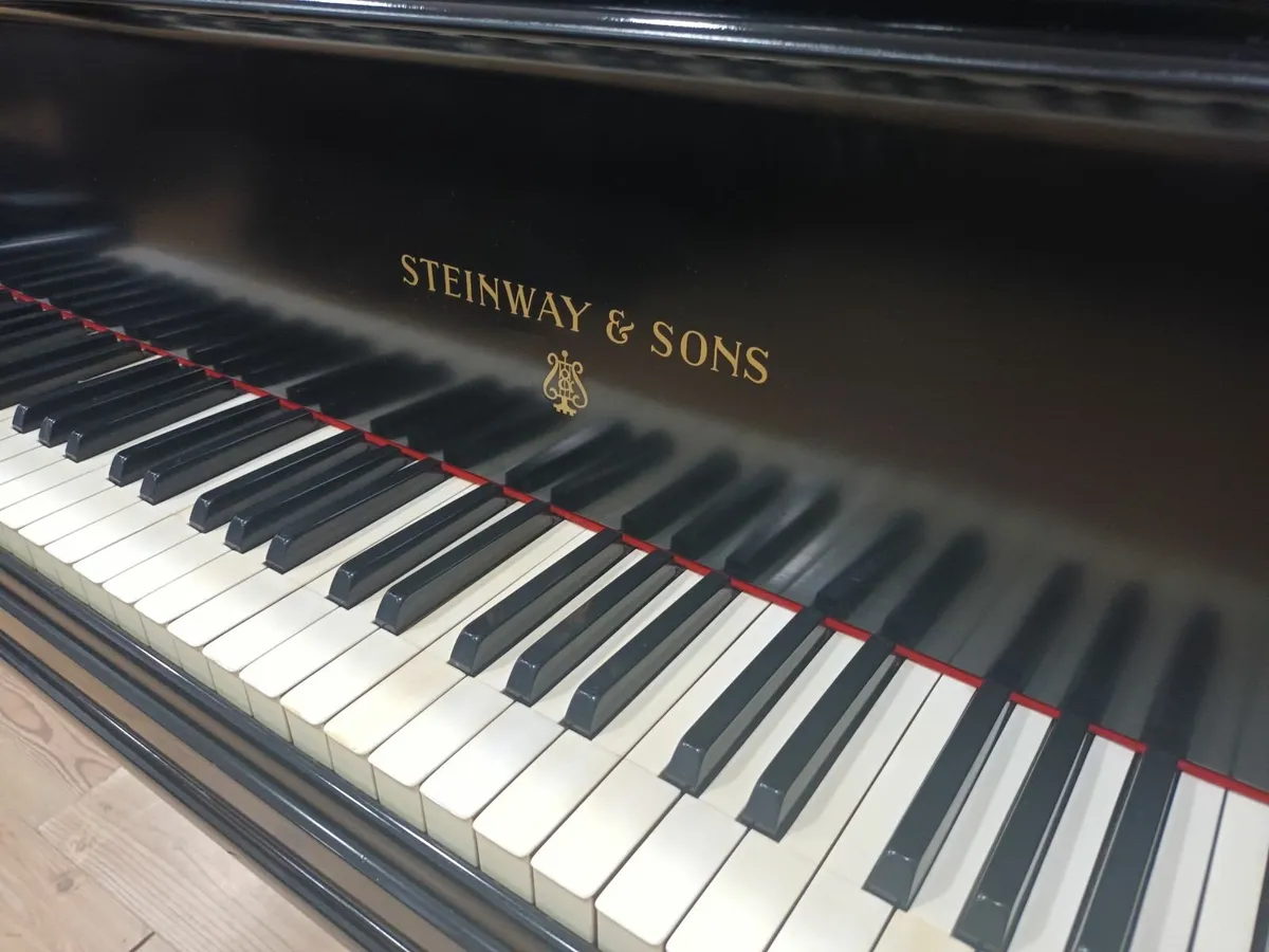 Steinway & Sons Model B Grand Piano - Image 4