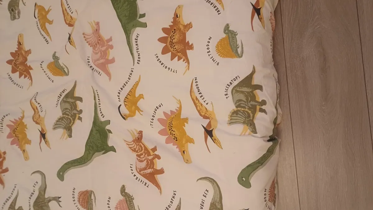 Dinosaur bedspreads - Image 1