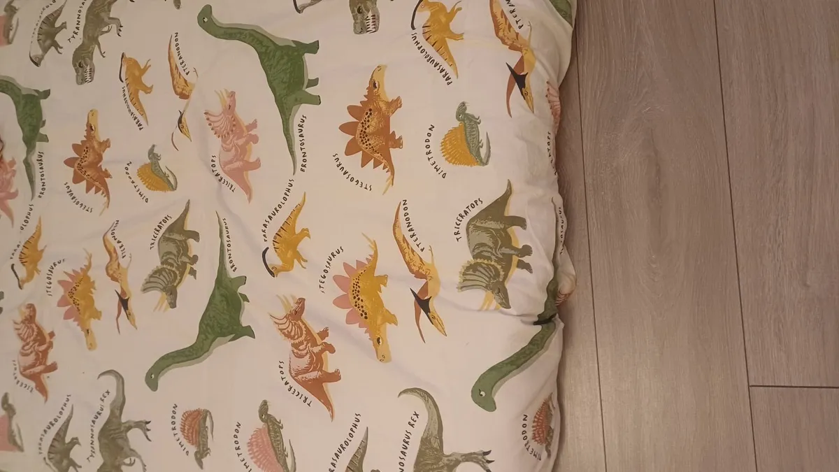 Dinosaur bedspreads - Image 2