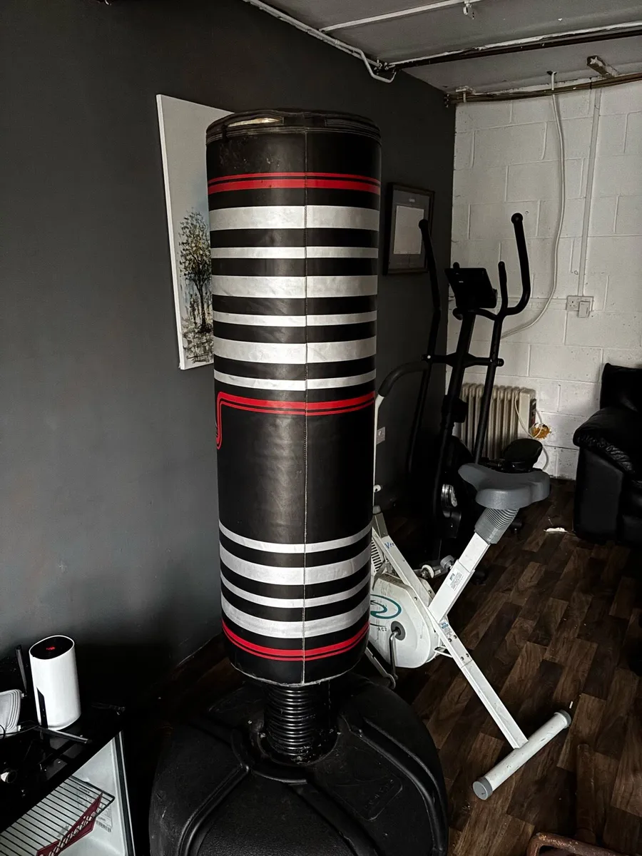 Boxing bag