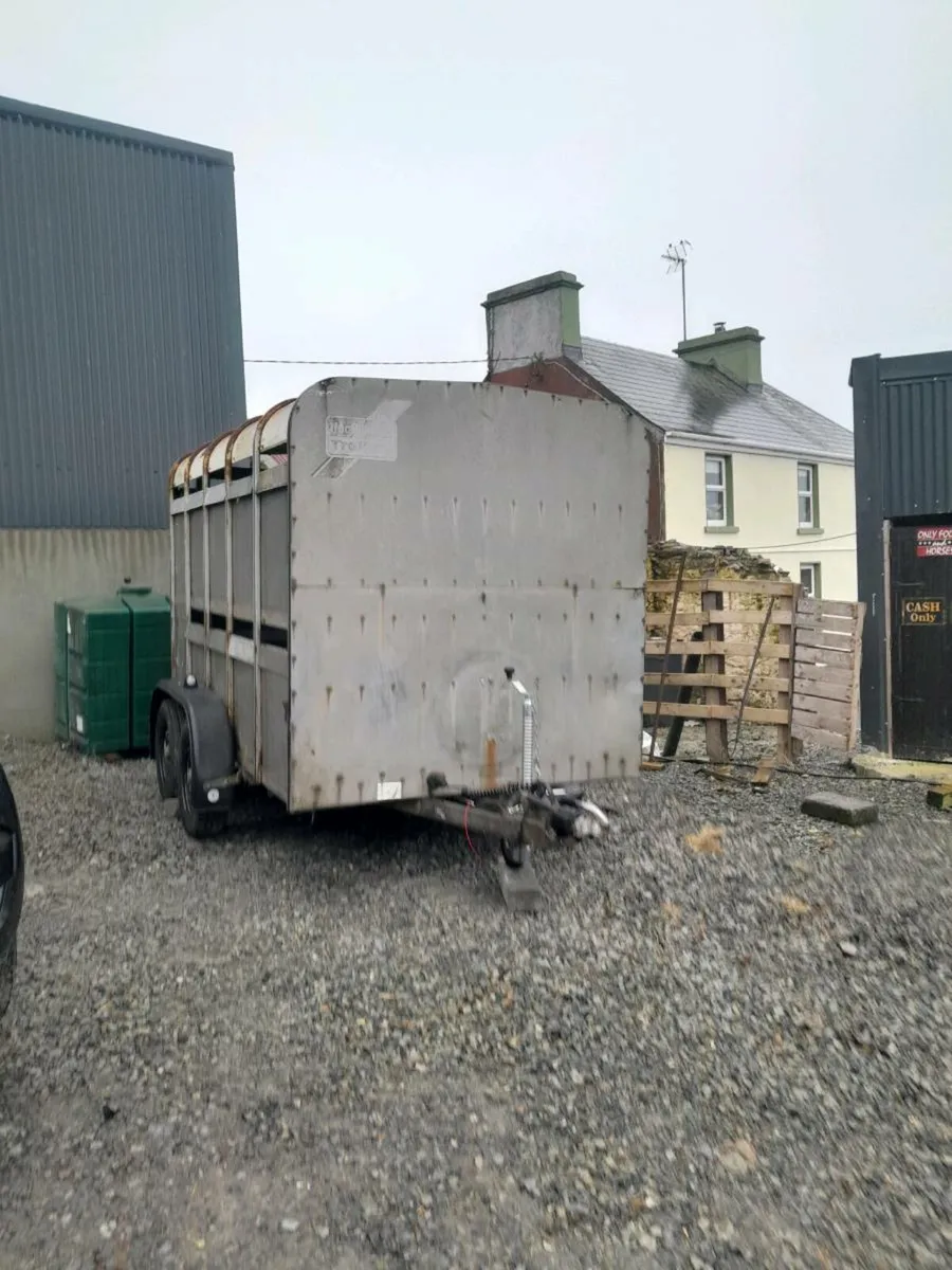 Ifor  williams 10by6 cattle trailer  0868782672 - Image 3