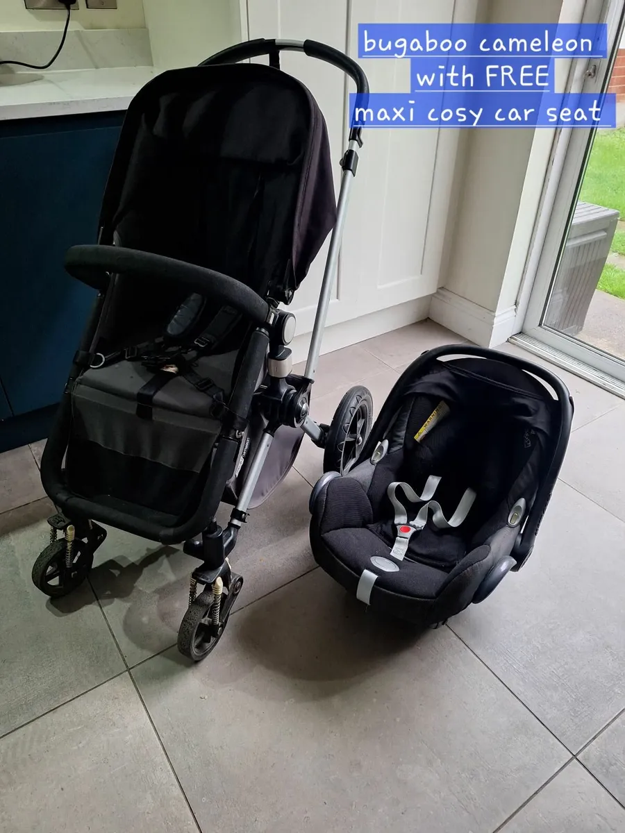 Buggy cameleon with free car seat - Image 1