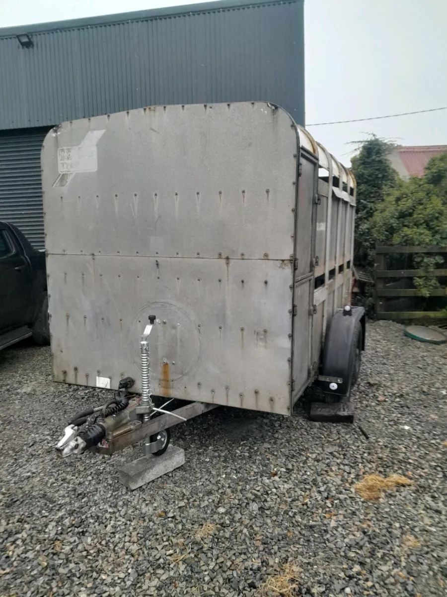 Ifor 10by6cattle trailer cal 0868782672 - Image 1