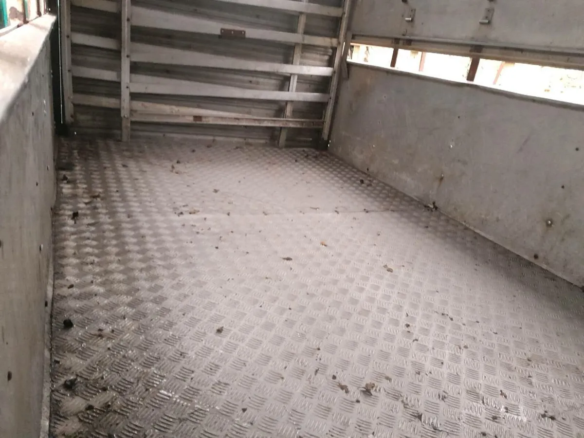 Ifor 10by6cattle trailer cal 0868782672 - Image 2