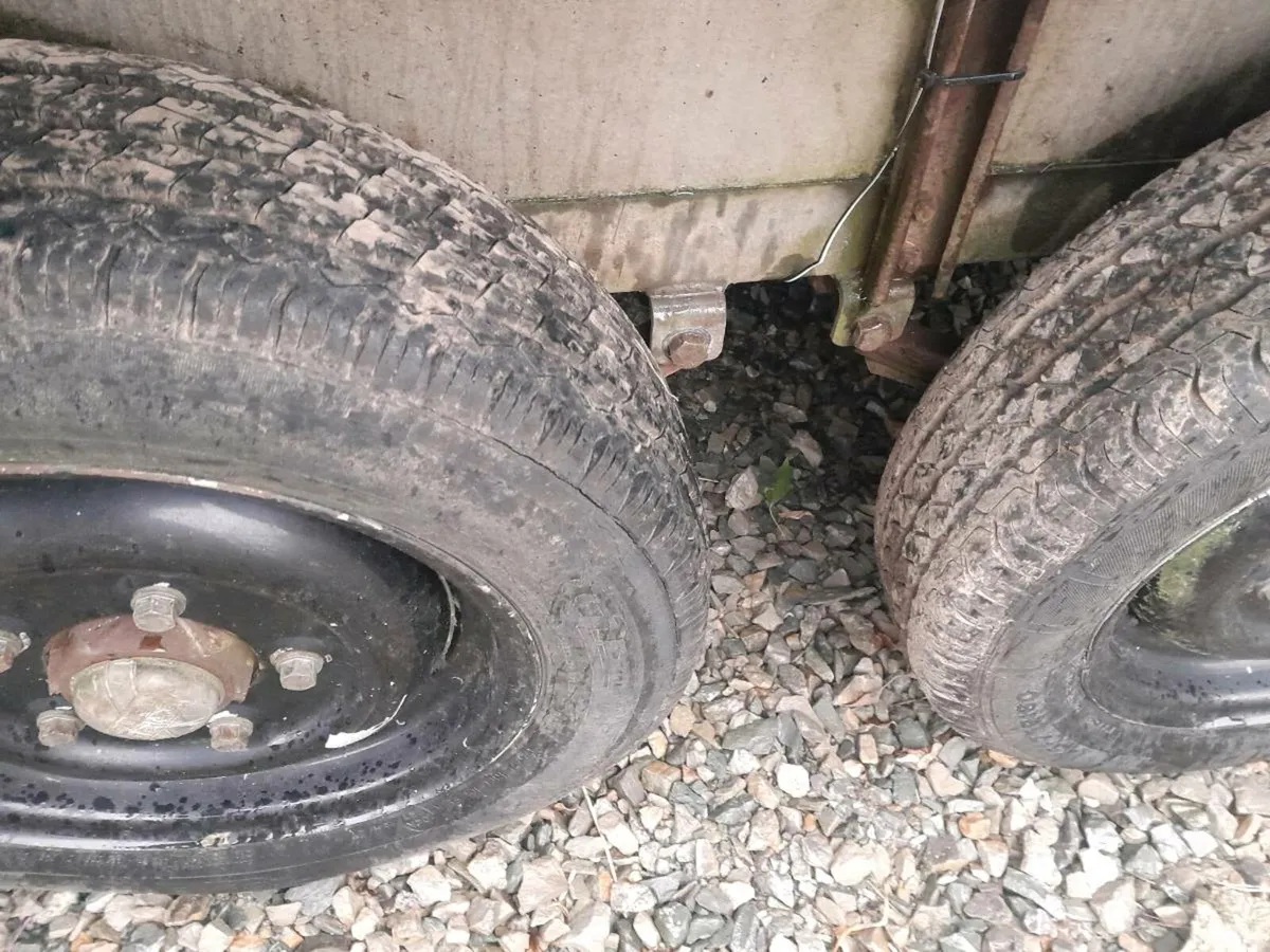 Ifor 10by6cattle trailer cal 0868782672 - Image 4