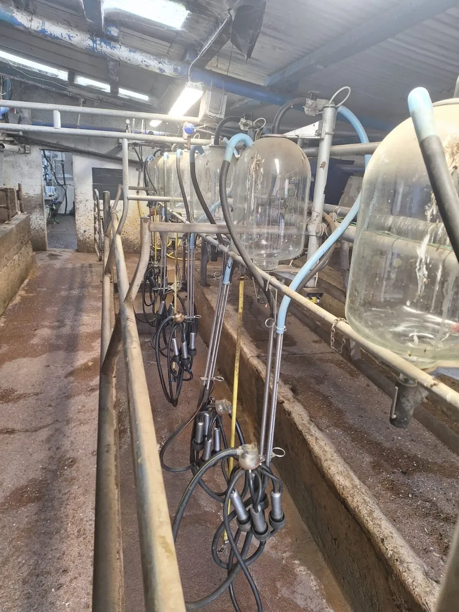 Milking parlour - Image 1