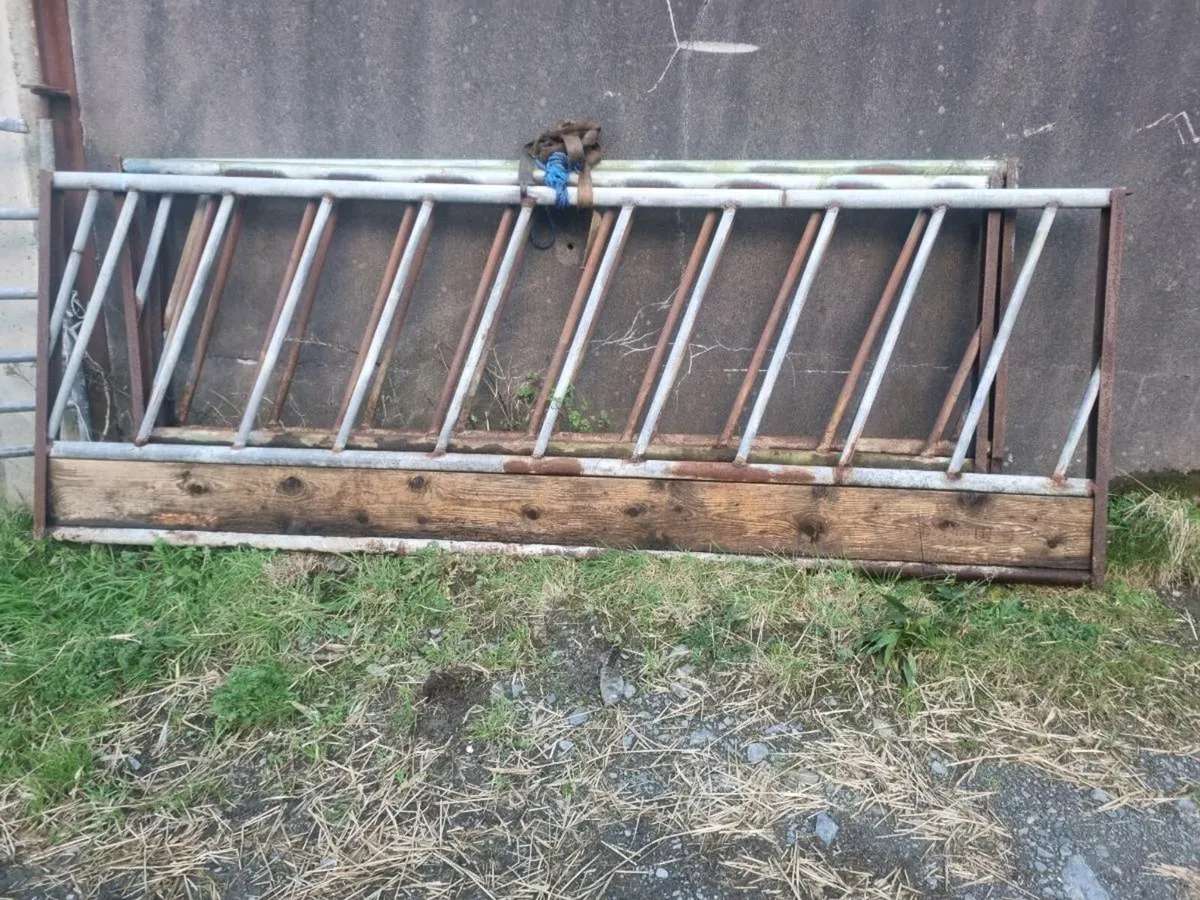 Cow cubicles  and Barriers - Image 4