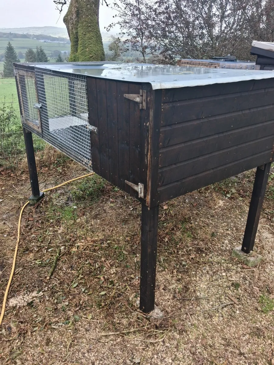 New dubble breeding duck pen - Image 3