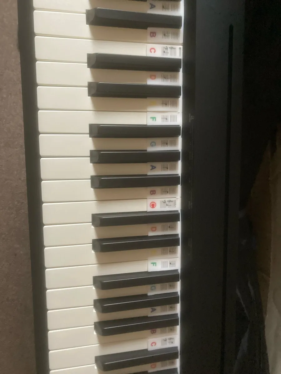 Roland fp10 digital piano with all equipments - Image 3
