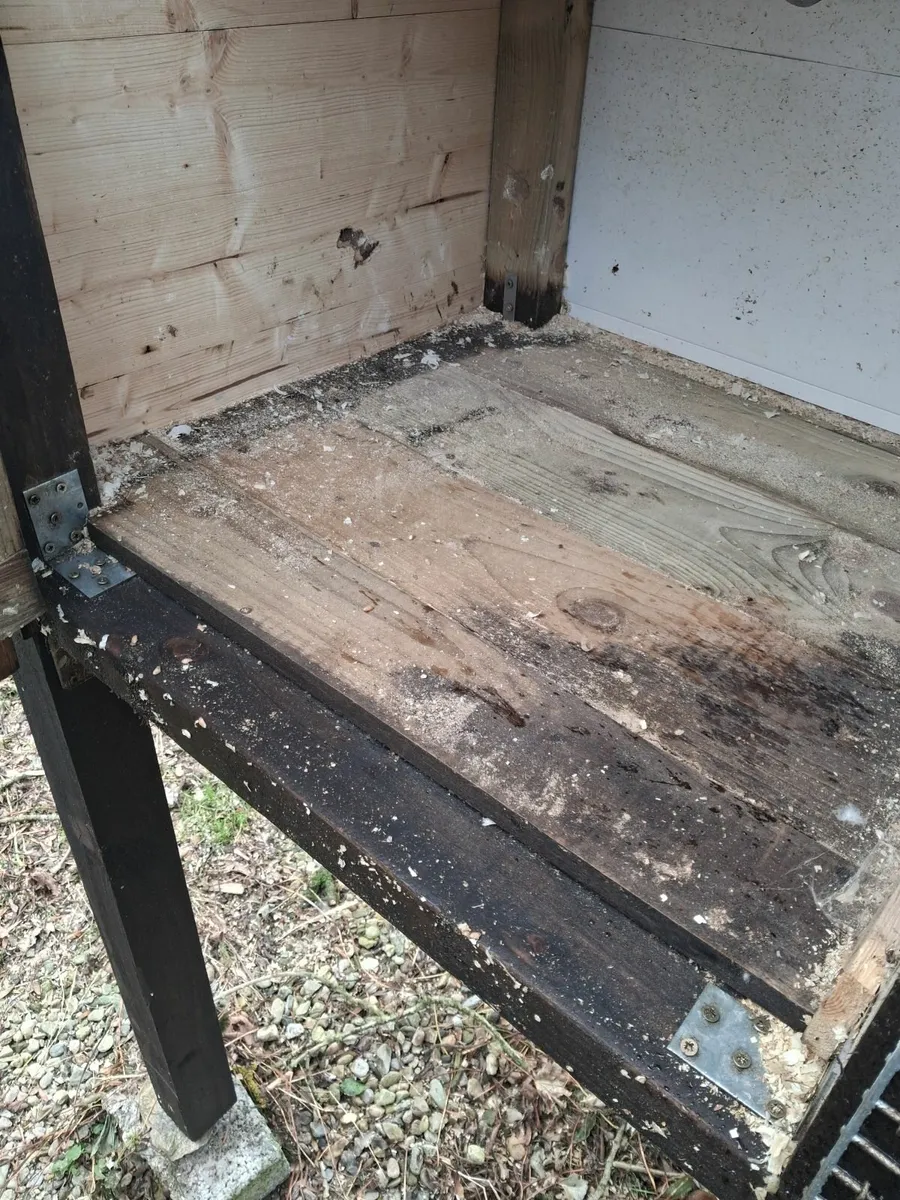 New dubble breeding duck pen - Image 4