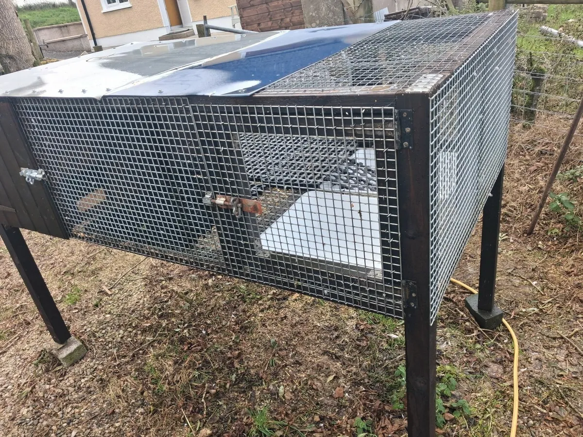New dubble breeding duck pen - Image 1