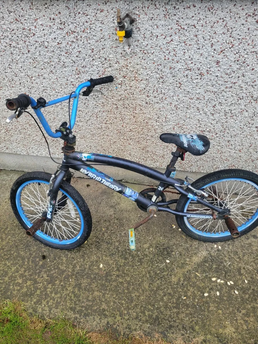 20 inch BMX style kids Bike. - Image 2
