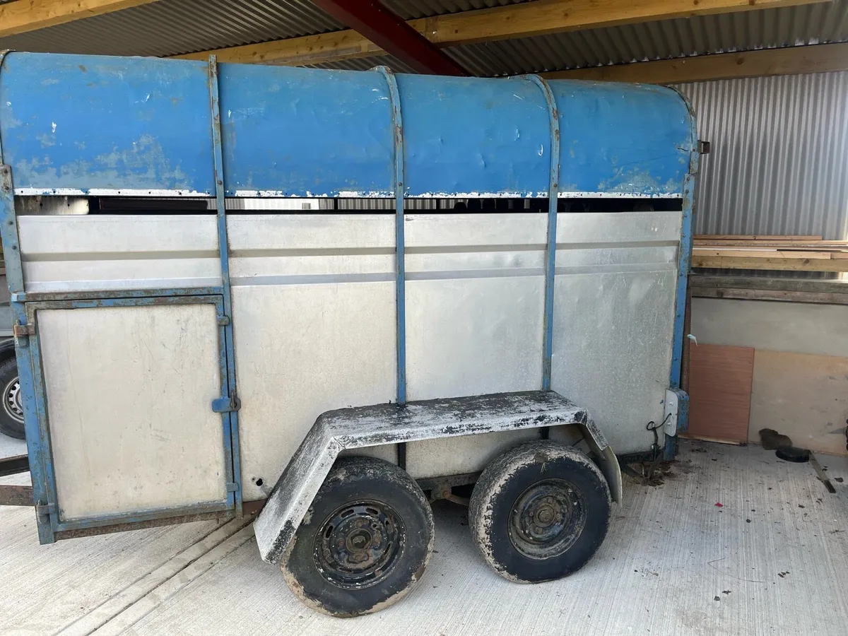 Crooks Cattle trailer 8x5 - Image 2