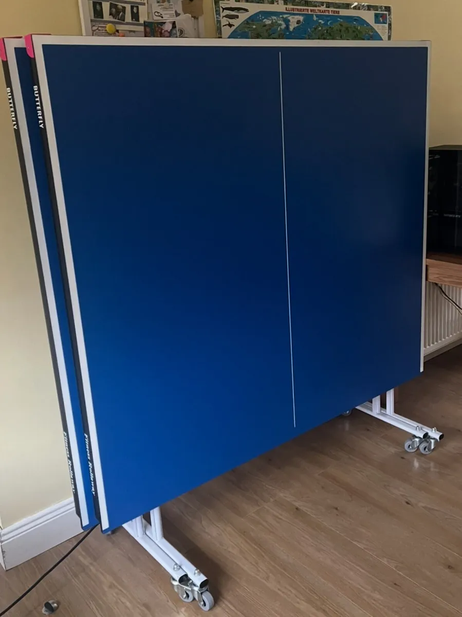 Table Tennis Table & Net - Image 2