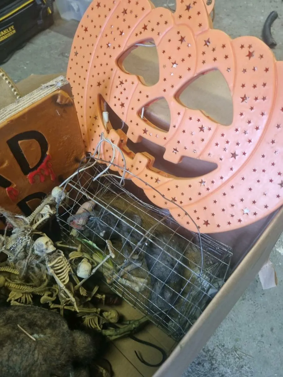 Halloween decorations FREE - Image 2