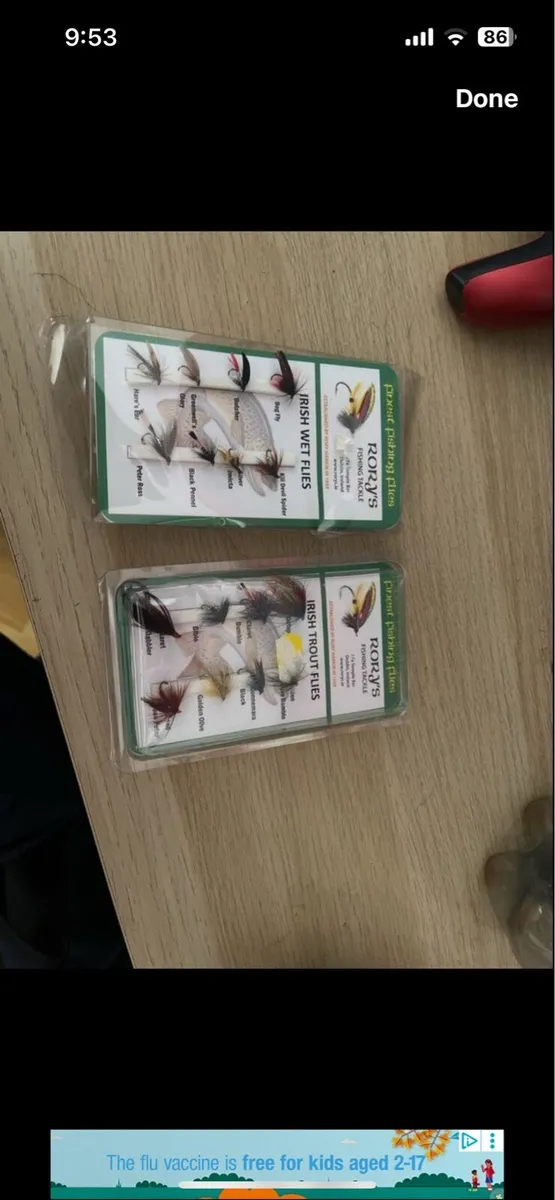 Flies - Image 3
