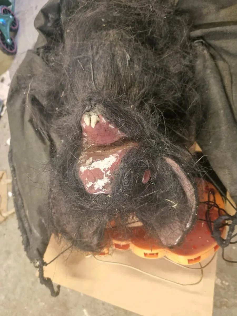 Halloween decorations FREE - Image 3