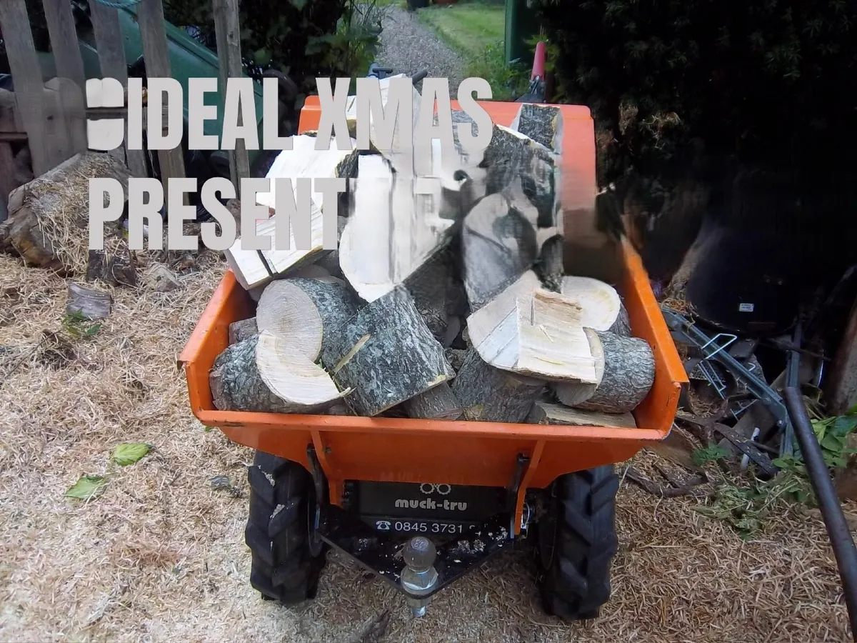 FIREWOOD - Image 1