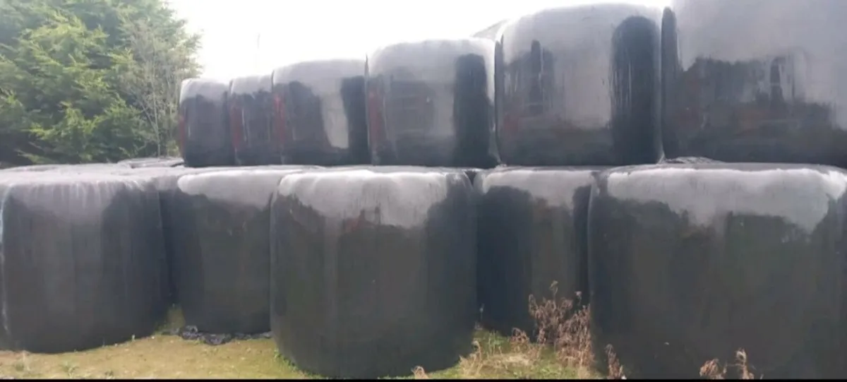 Haylage/Hay/Silage