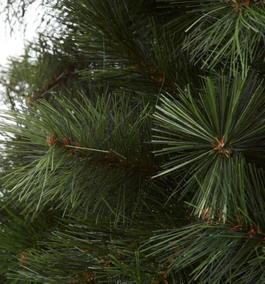7ft Nebraska Christmas Tree - Image 4