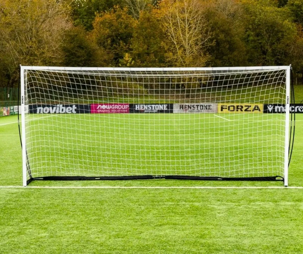 Forza Foldable Goal Post