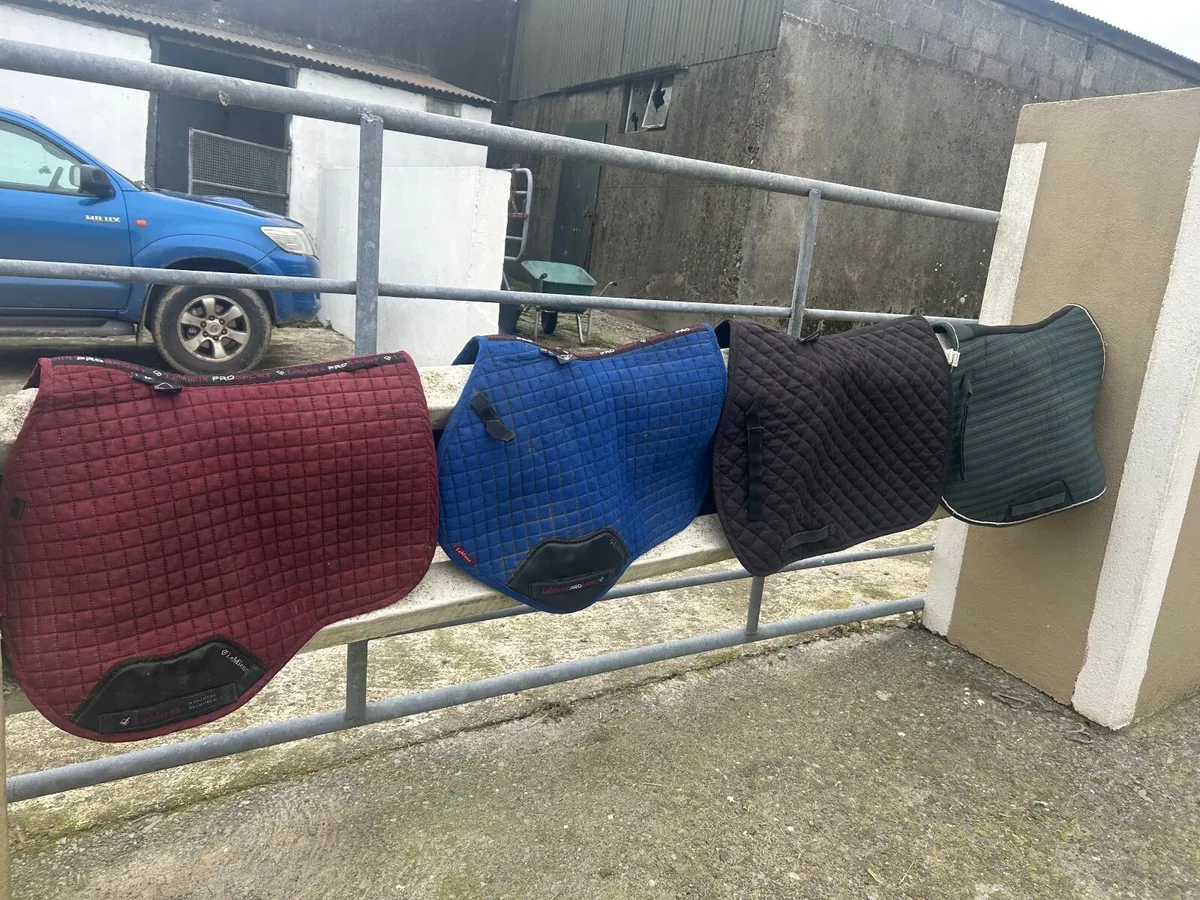 Horse care equipment - Image 1