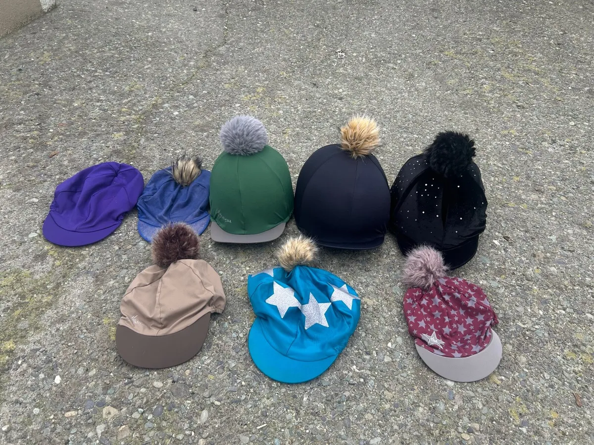 Horse care equipment - Image 3