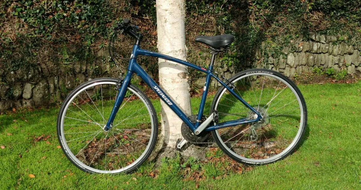 Specialized Vita Sport bike - Image 1