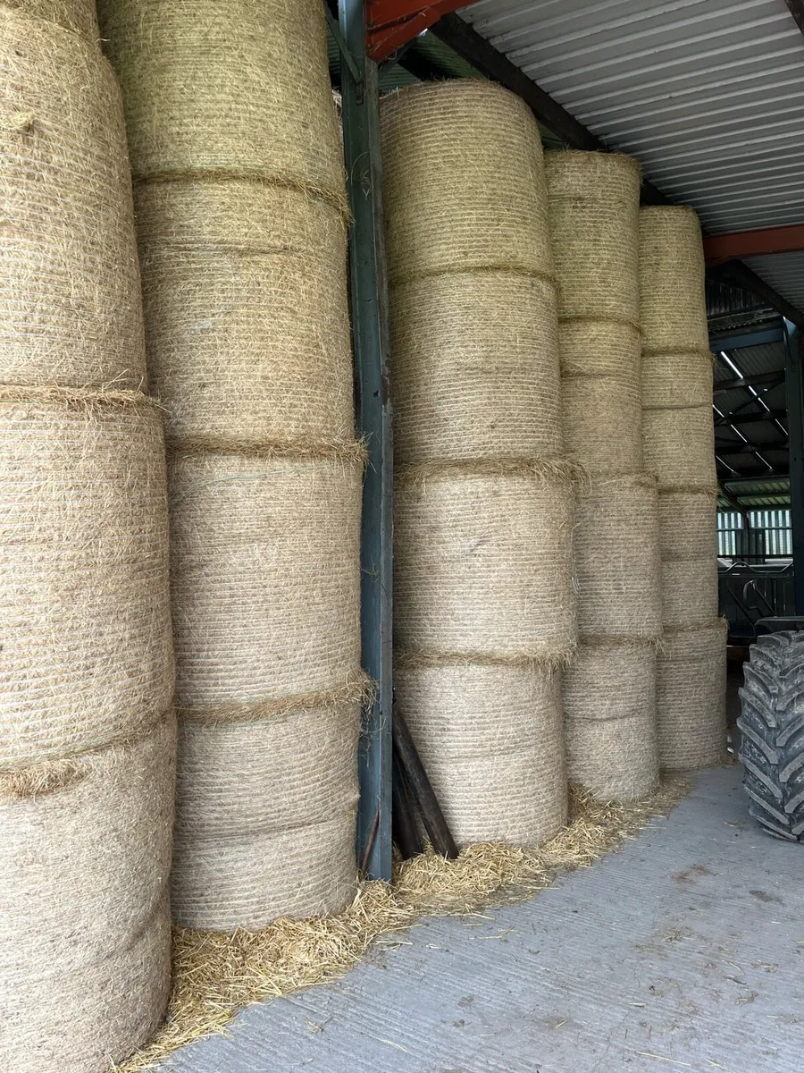 300 bales of top quality hay - Image 3